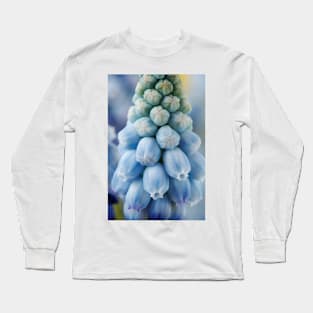 Muscari armeniacum  &#39;Valerie Finnis&#39;  Grape hyacinth Long Sleeve T-Shirt